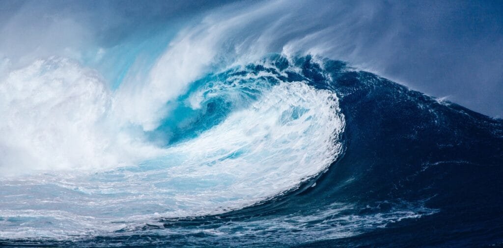 Marine plasma therapy